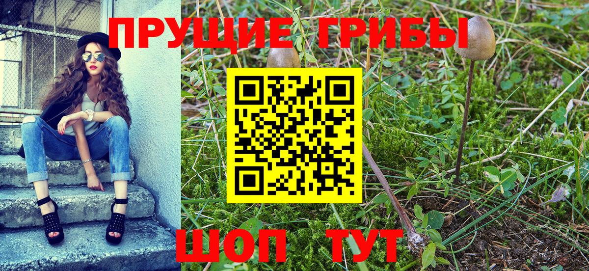 Уссурийск  где купить   Вход с VPN  Галлюциногенные грибы Psilocybe 